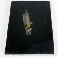 silber-test tester testsäuren testlösungen prüfsäuren prüflösungen stichprobe echtheit